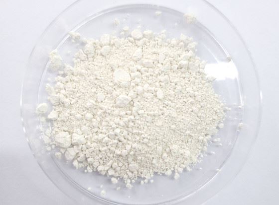Fructus Sophorae extract