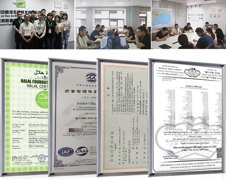 company & certificate