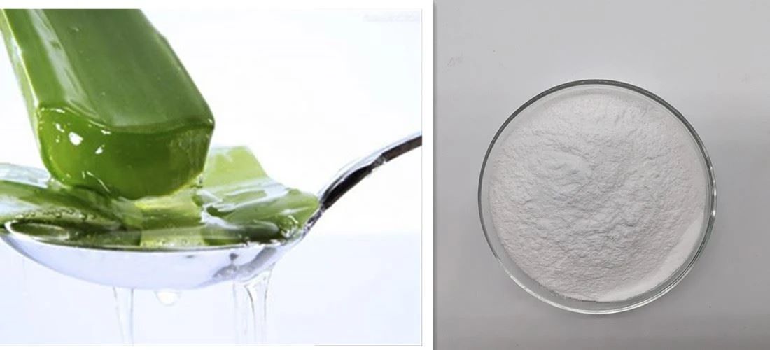 Aloe vera gel freeze-dried powder