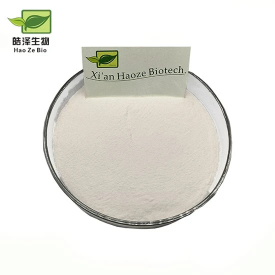 lipase