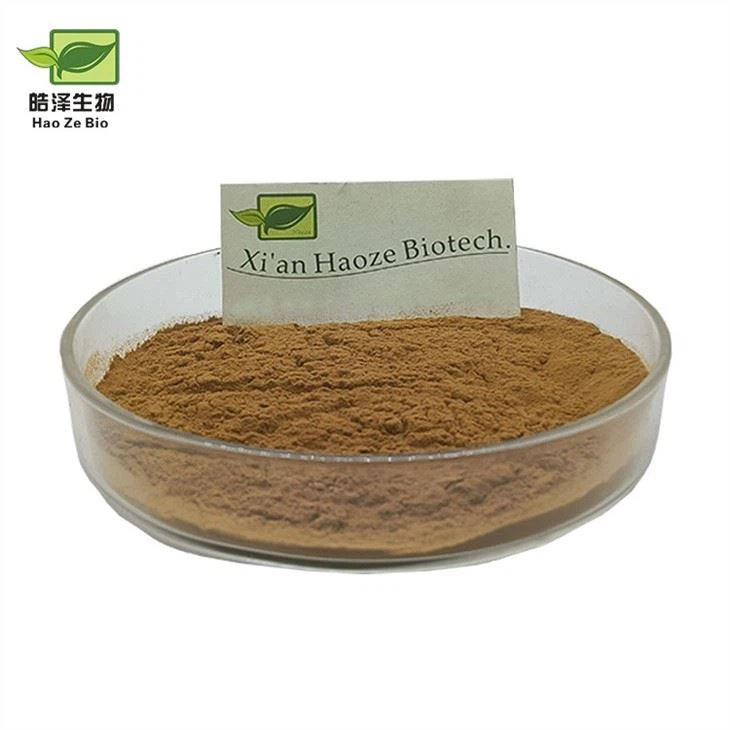 Ganoderma Extract Powder